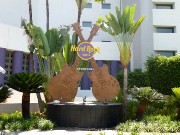 359  Hard Rock Hotel Vallarta.JPG